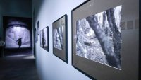 Inauguran cinco exposiciones en el Centro de la Imagen
