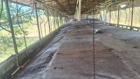Profepa completa retiro de cerdos en granja sancionada de Yucatán