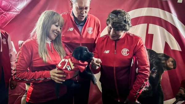 Edomex promueve adopción de mascotas en partido México vs. Serbia