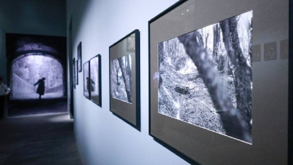 Inauguran cinco exposiciones en el Centro de la Imagen