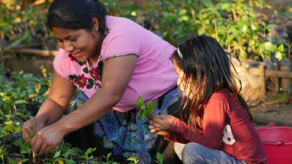 Documental 'Li Cham' destaca derechos de mujeres tsotsiles en Chiapas